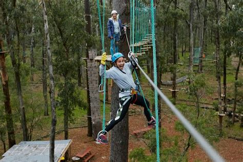 Forest Adventure Faproulette Small Banana Release .